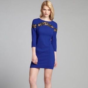 MAX & CLEO Dress with Lace Detail NWT Size: 6